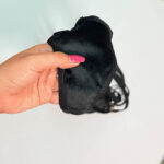 شورت لامبادا چرم مشکی بند عنکبوتی